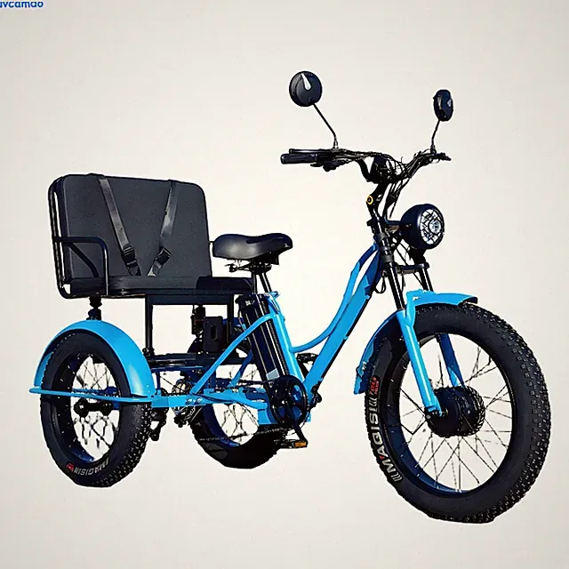 24-inch Electric Tricycle 750W 48V 18Ah Fat Tire Electric Tricycle 7S Back Seat