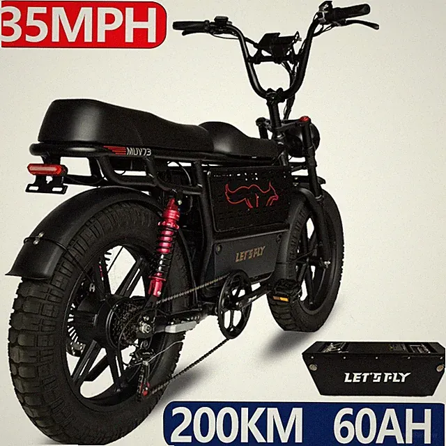 Cargo Electric E-Bike 2000W 48V 49.5AH Adult Bicycles 20" Fat Tire Mountain bike